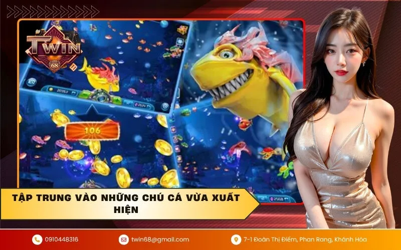 Tập trung vào những chú cá vừa xuất hiện